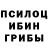 Псилоцибиновые грибы GOLDEN TEACHER Ray Duguid