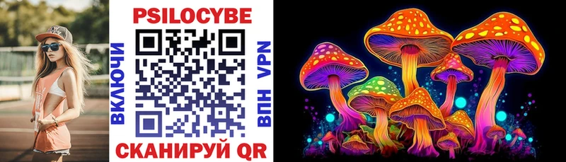 Псилоцибиновые грибы Magic Shrooms  Чернушка 